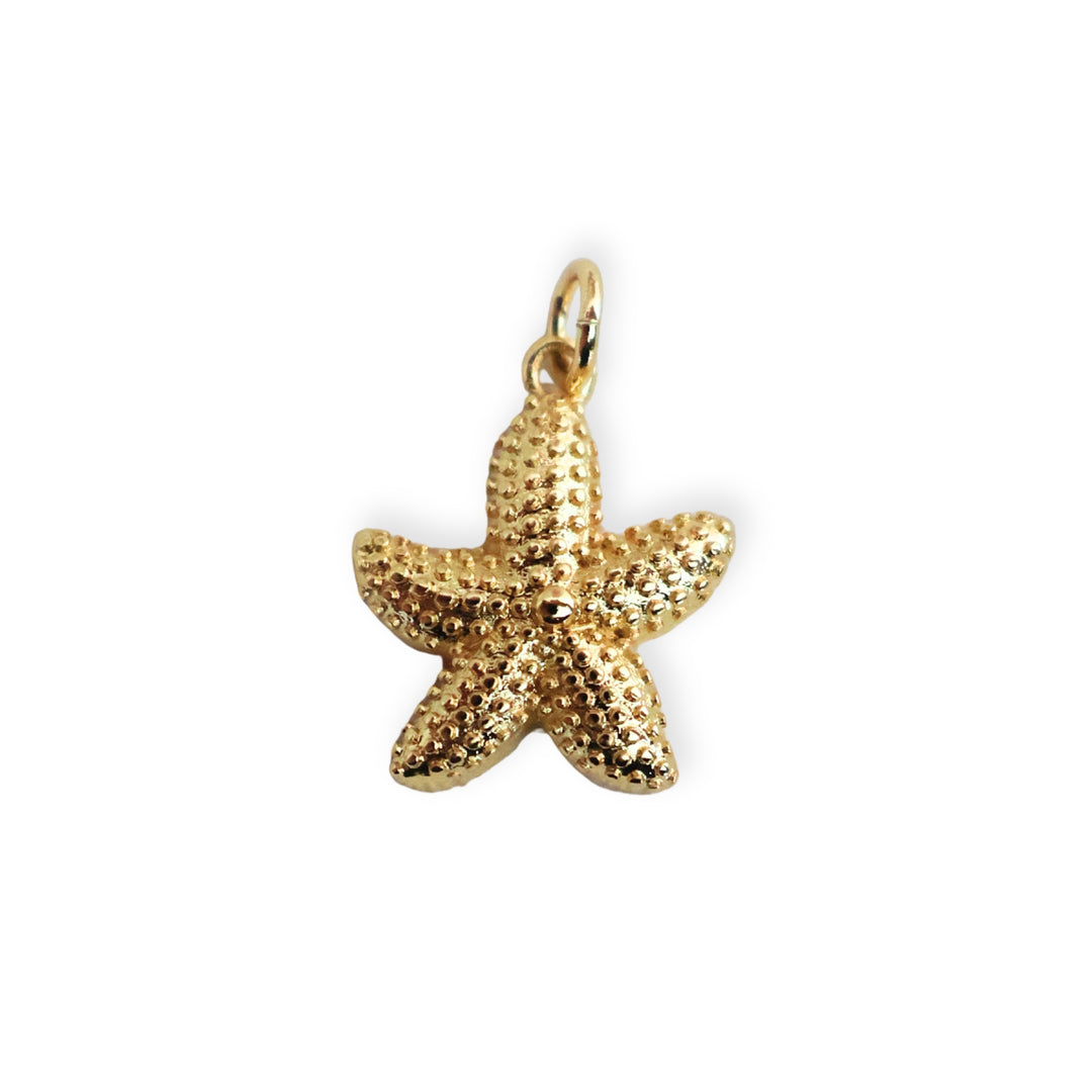 Dije de estrella de mar en chapa de oro con textura de puntos sobre fondo blanco