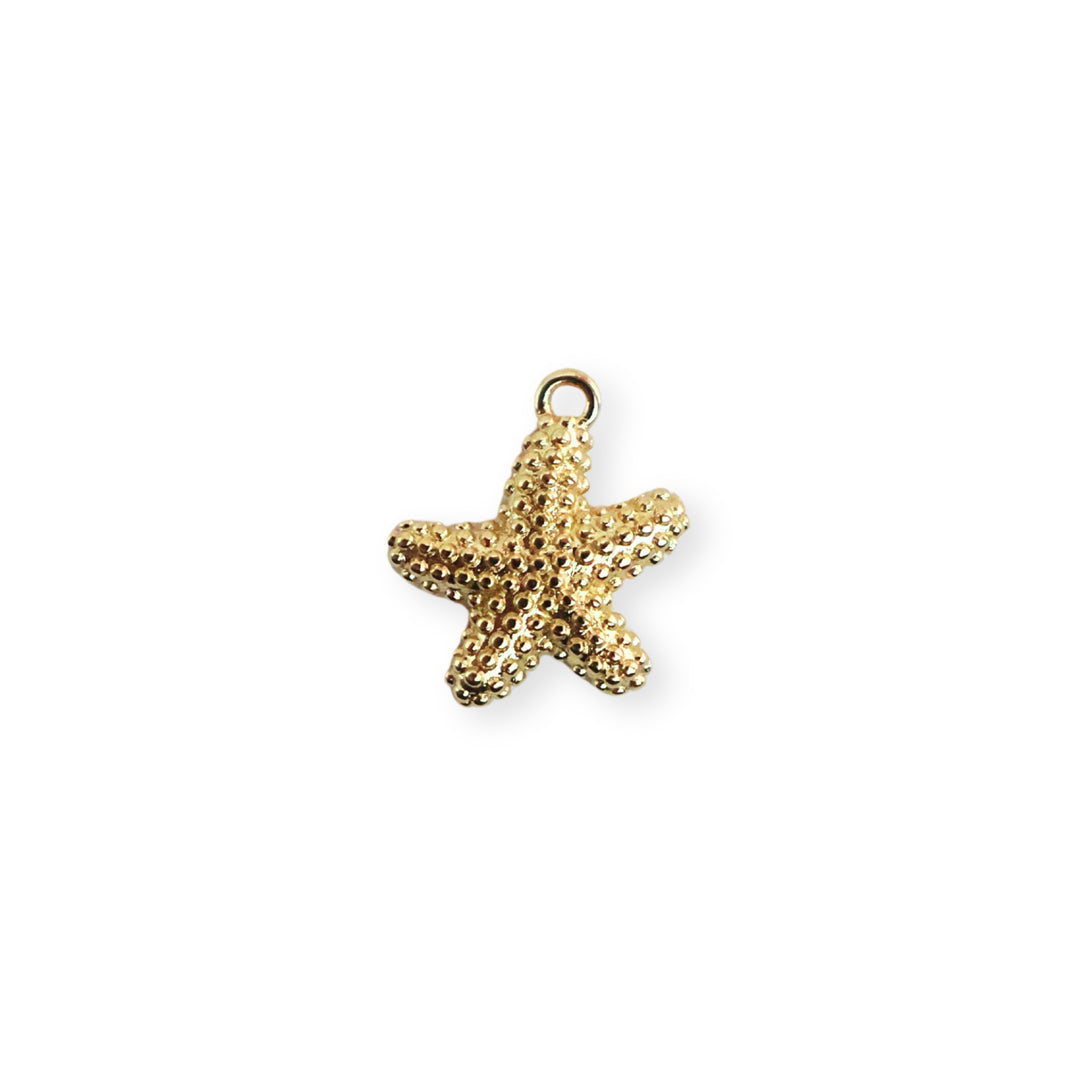 Dije de estrella de mar en chapa de oro con textura de puntos sobre fondo blanco