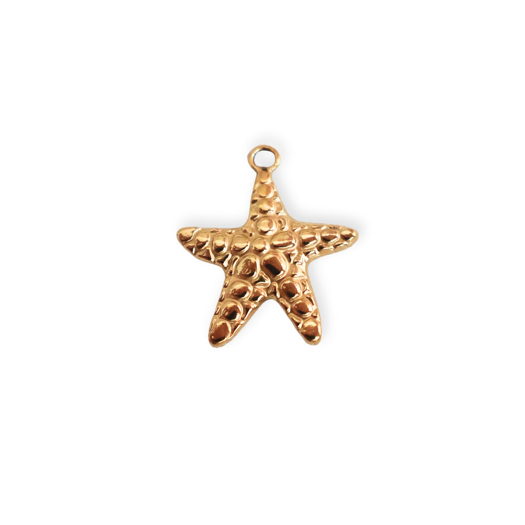 Dije en forma de estrella de mar de acero inoxidable sobre fondo blanco