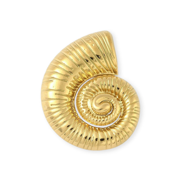 Dije de caracol de acero inoxidable