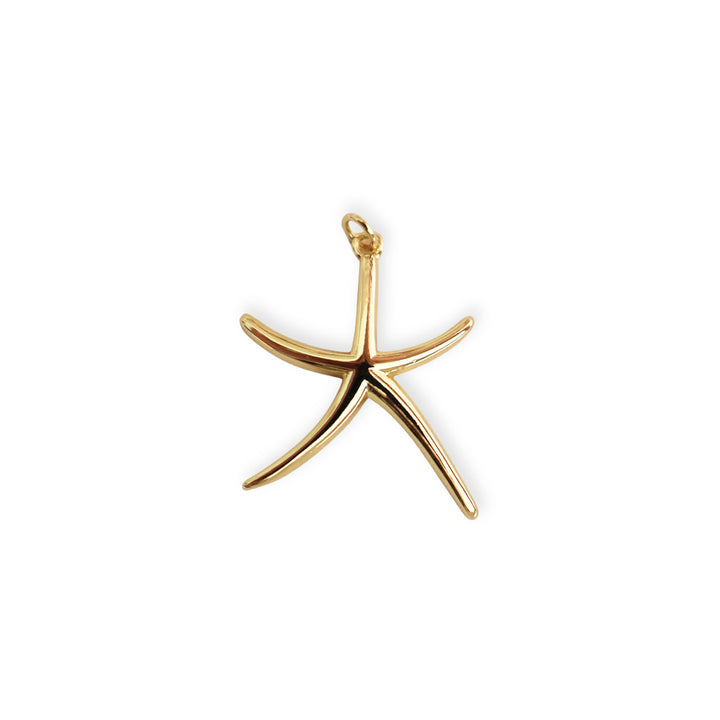 Dije en forma de estrella de mar elaborado en chapa de oro sobre fondo blanco
