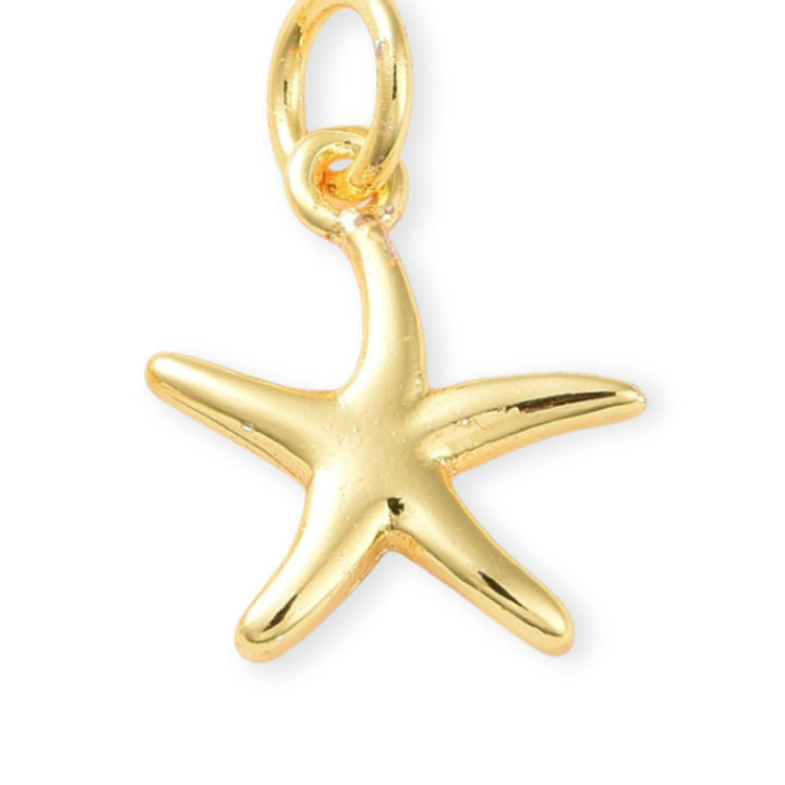 Dije de estrella de mar