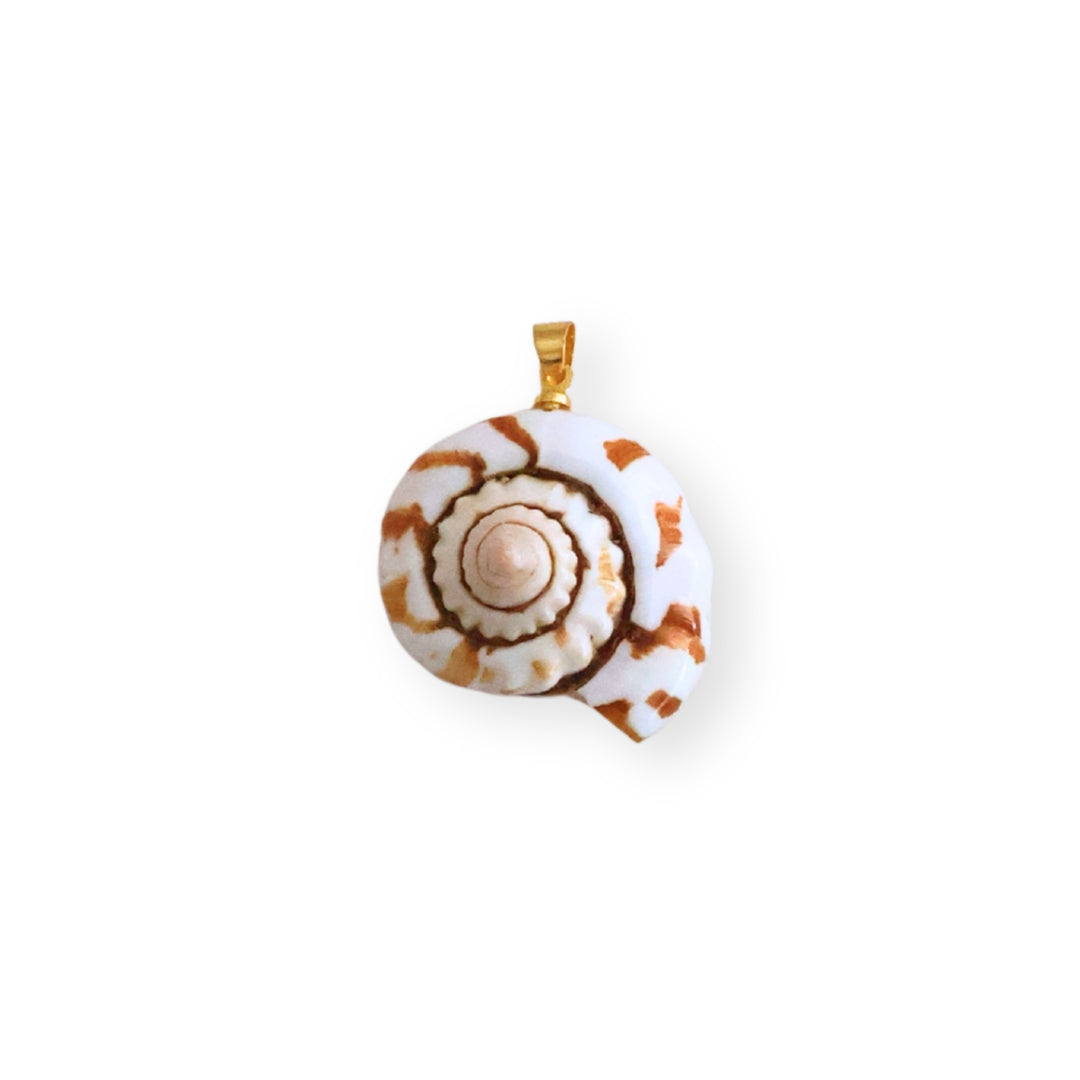 Dije caracol de concha natural con portadije de chapa de oro