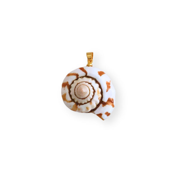 Dije de caracol