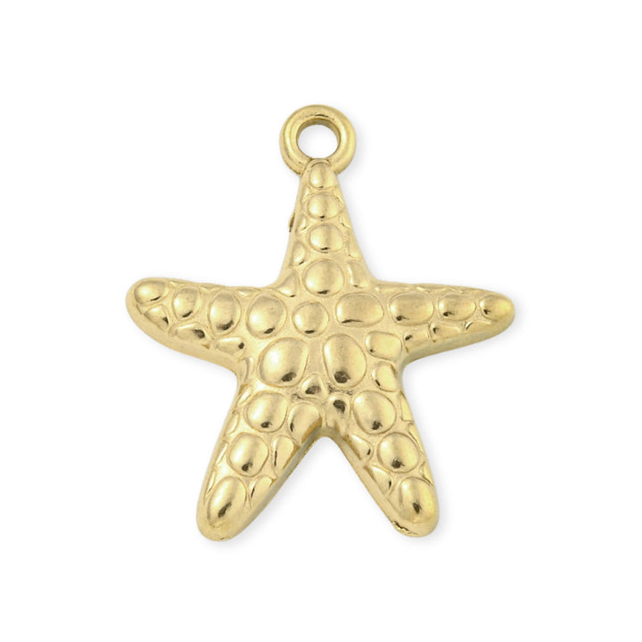 Dije en forma de estrella de mar de acero inoxidable sobre fondo blanco