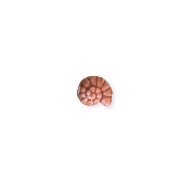 Separador de caracol