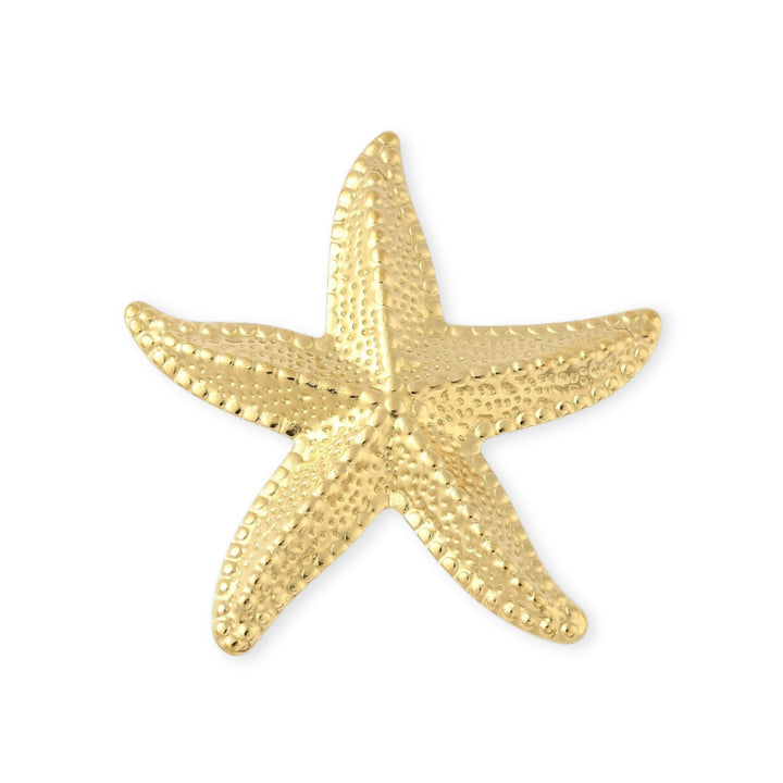 Dije estrella de mar de acero inoxidable con acabado brillante y ojal trasero