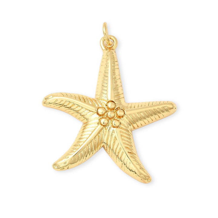 Dije en forma de estrella de mar dorada con detalle de bolitas en el centro