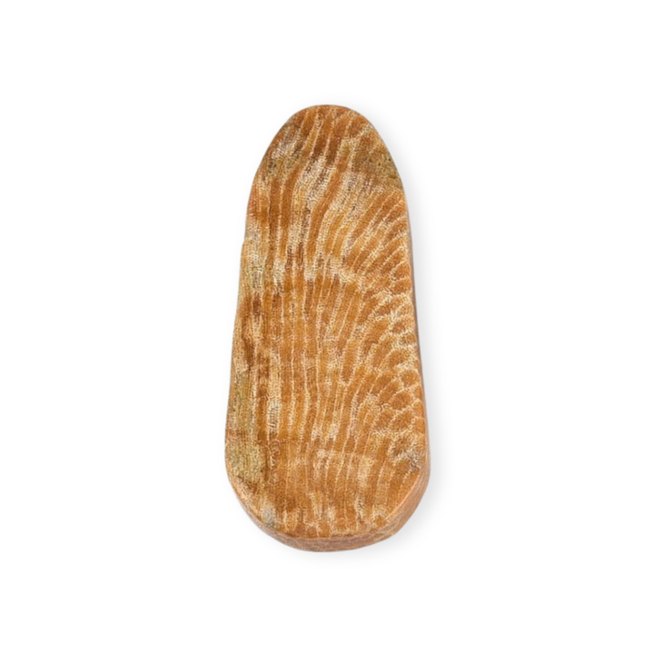 Separador ovalado de coral fósil para elaboración de joyería