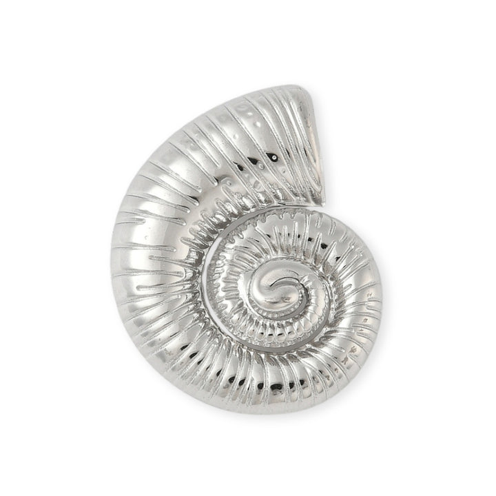 Dije de caracol de acero inoxidable plateado
