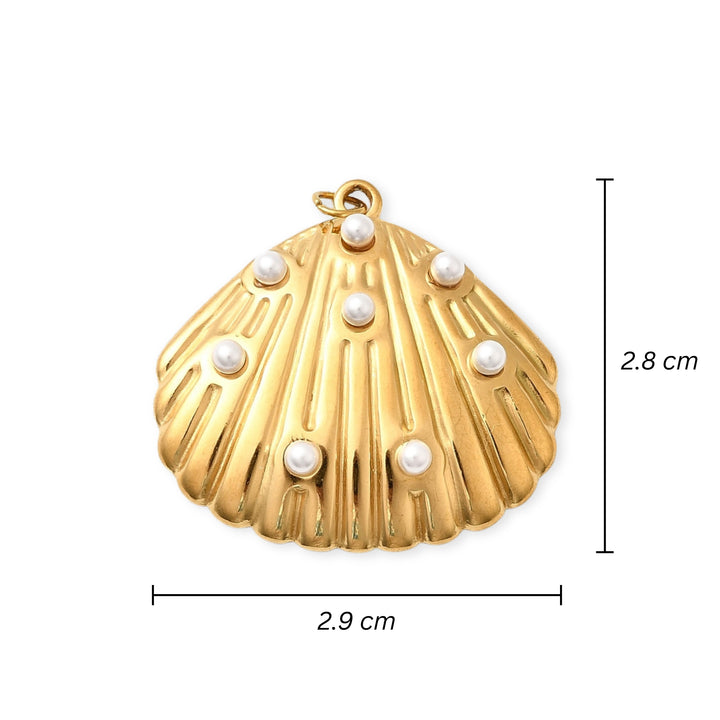 Medidas para Dije de acero inoxidable en forma de concha marina con perlas sintéticas decorativas