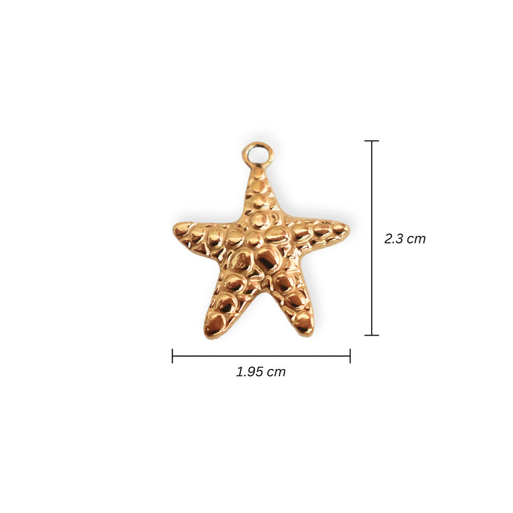 Medidas para dije en forma de estrella de mar de acero inoxidable sobre fondo blanco