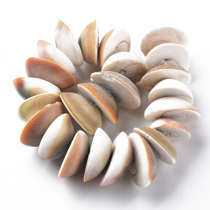Tira de concha natural para elaboración de joyería