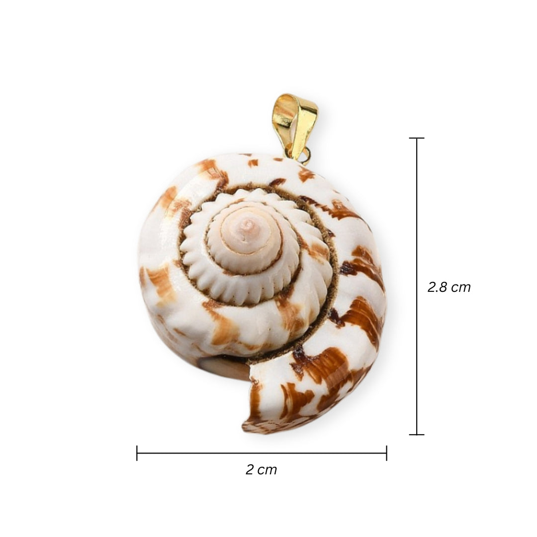 Medidas para Dije caracol de concha natural con portadije de chapa de oro