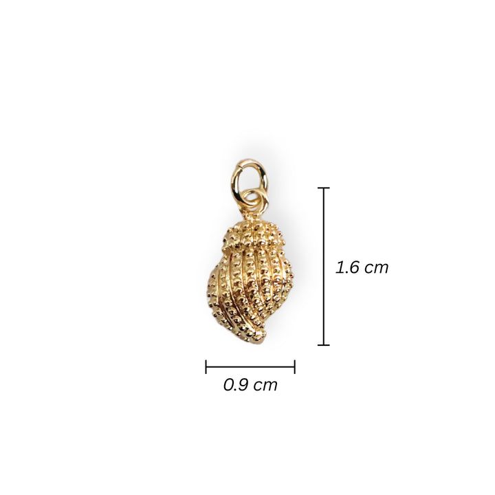Medidas para dije caracol en chapa de oro con acabado brillante