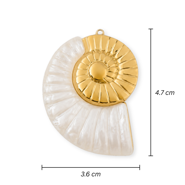 Medidas para Dije de caracol de acero inoxidable con resina