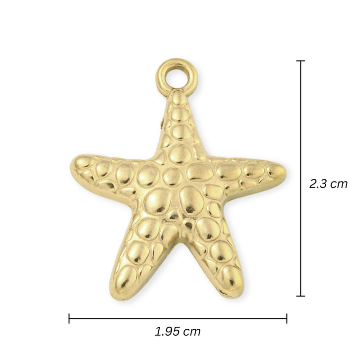 Medidas para Dije en forma de estrella de mar de acero inoxidable sobre fondo blanco