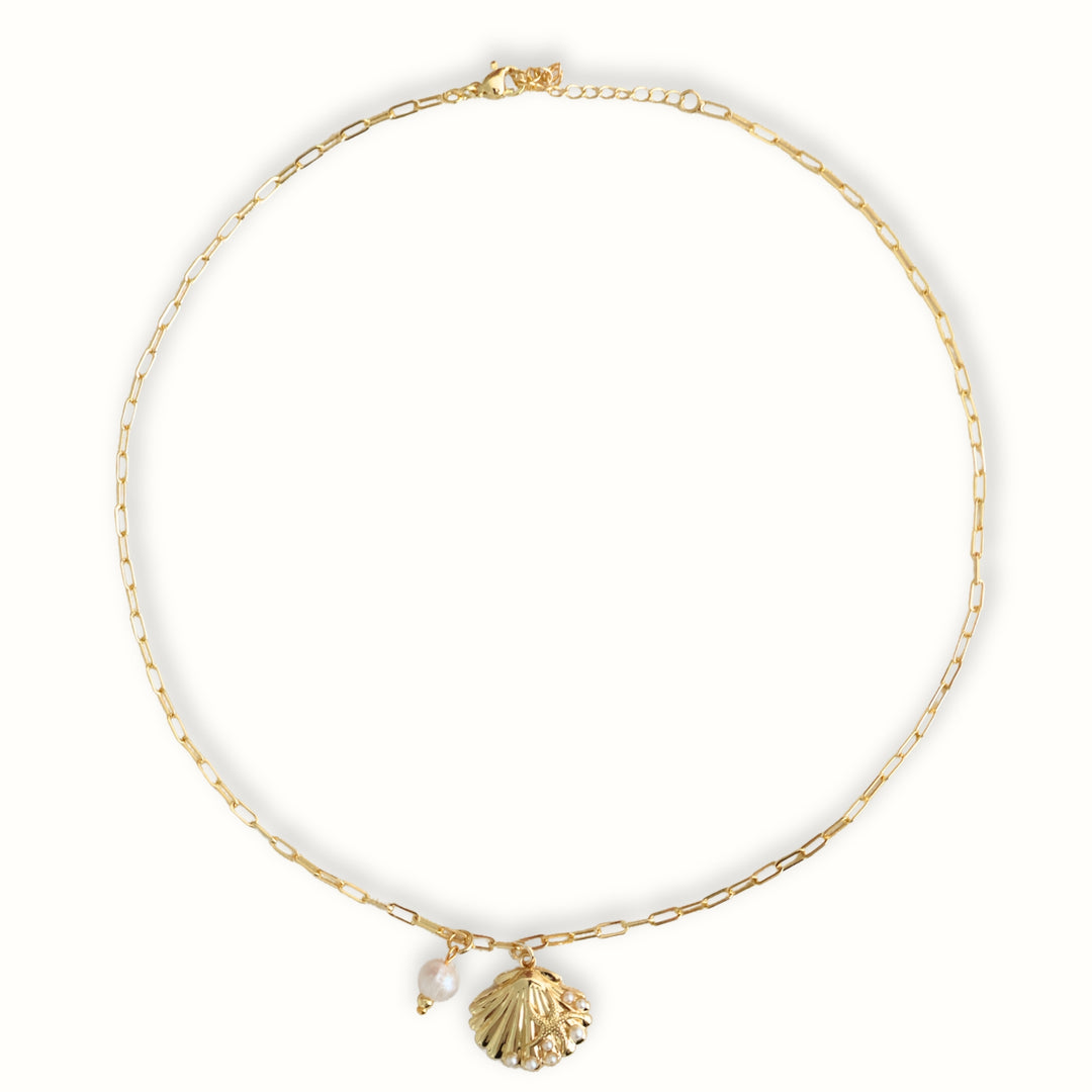 Detalle de Collar Kymi con perla de río y concha dorada
