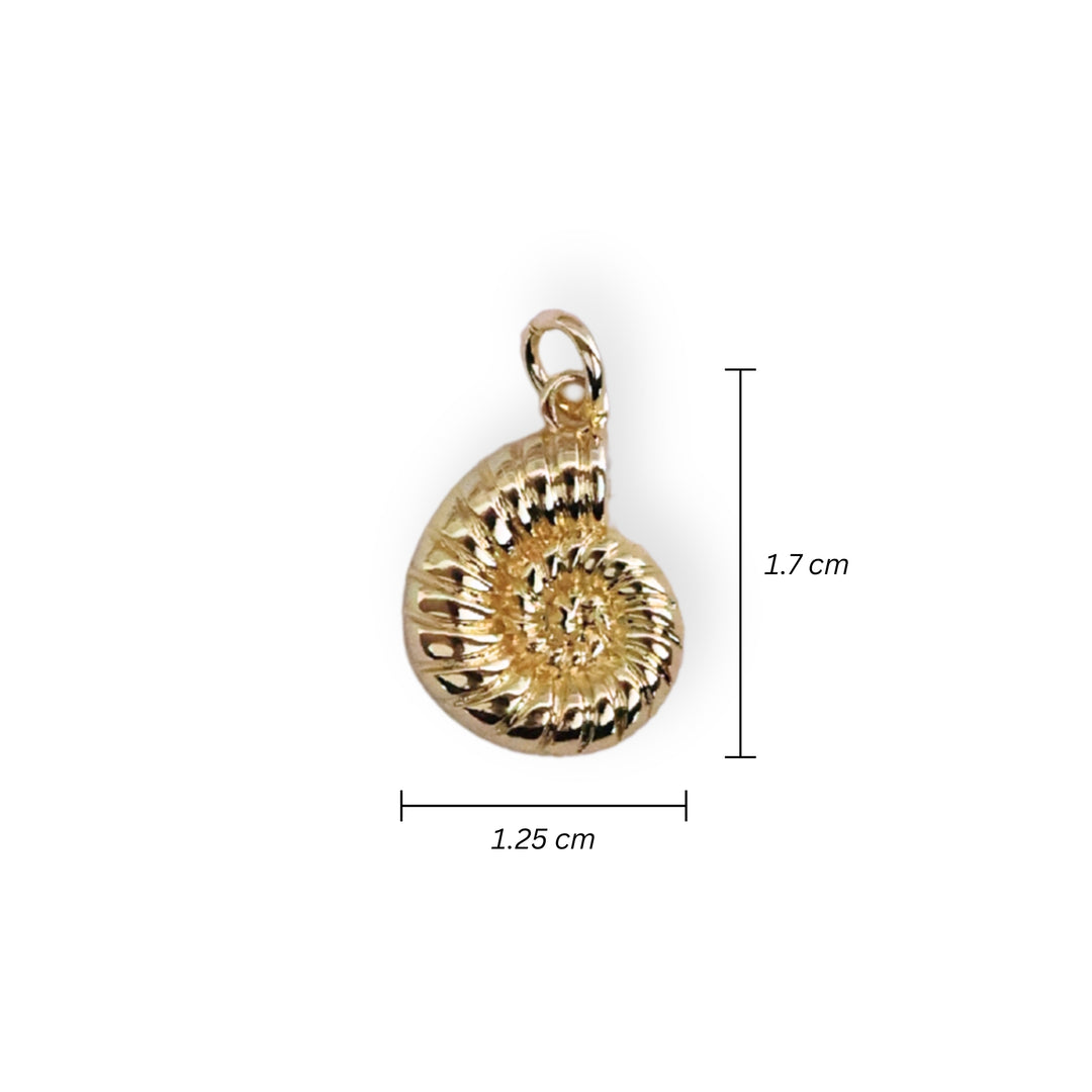 Medidas para dije caracol en chapa de oro con acabado brillante