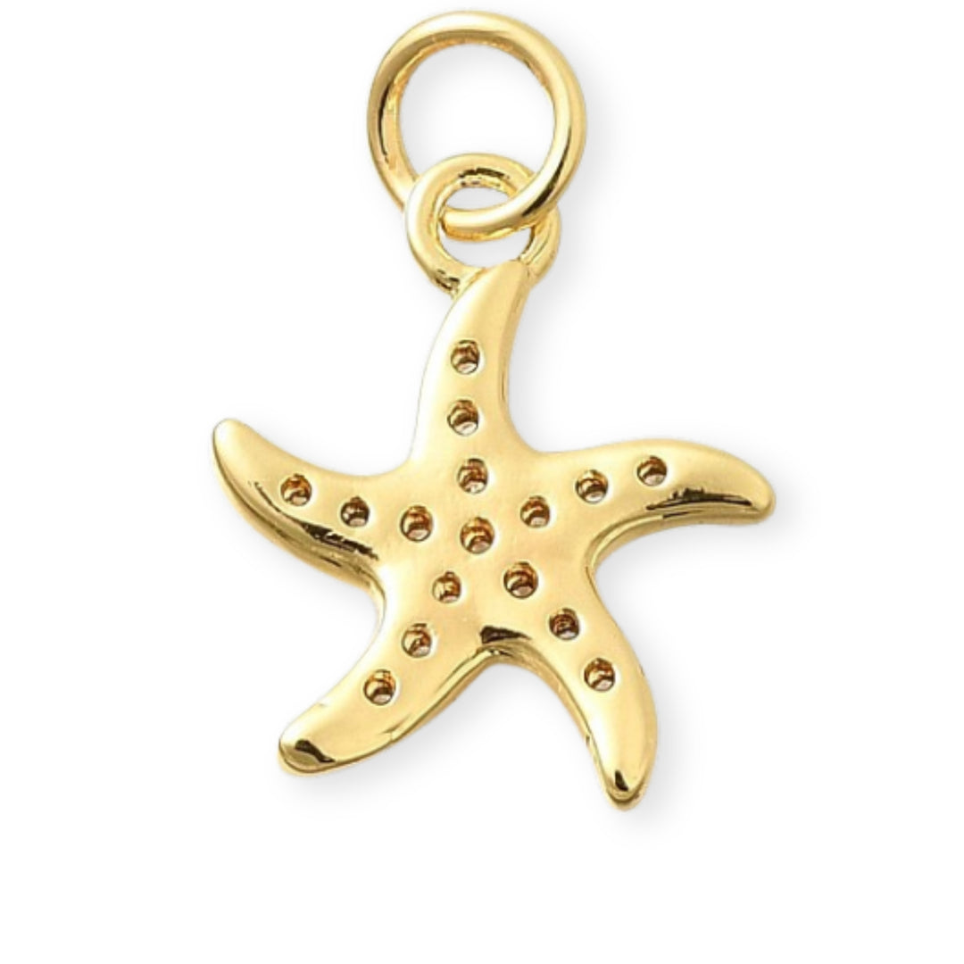 Detalles de Dije de estrella de mar en chapa de oro con zirconias alrededor sobre fondo blanco