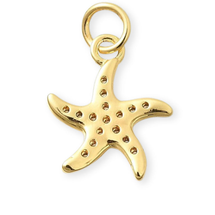 Detalles de Dije de estrella de mar en chapa de oro con zirconias alrededor sobre fondo blanco