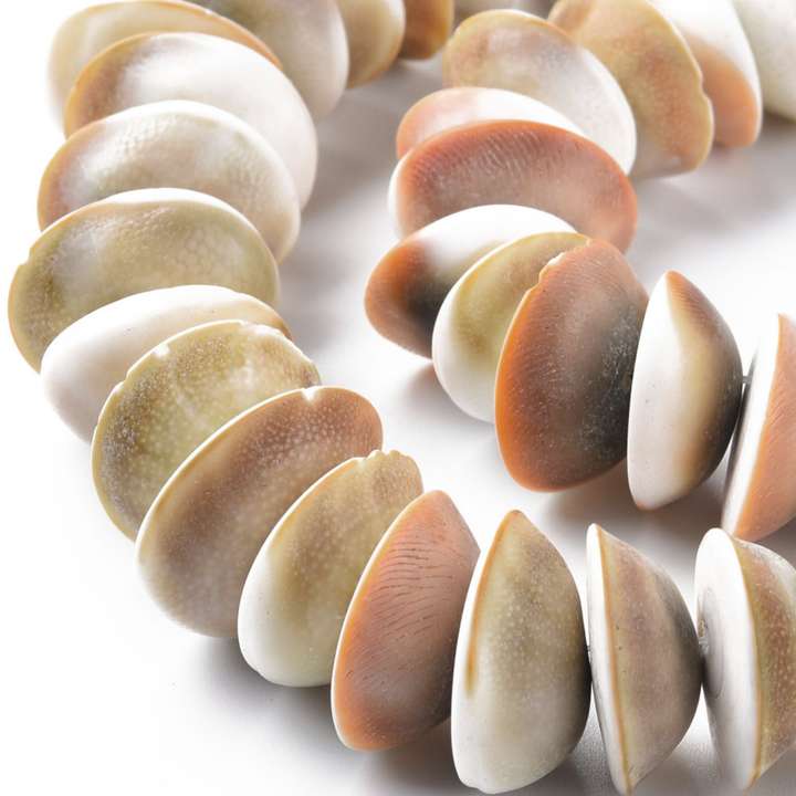 Tira de concha natural para elaboración de joyería