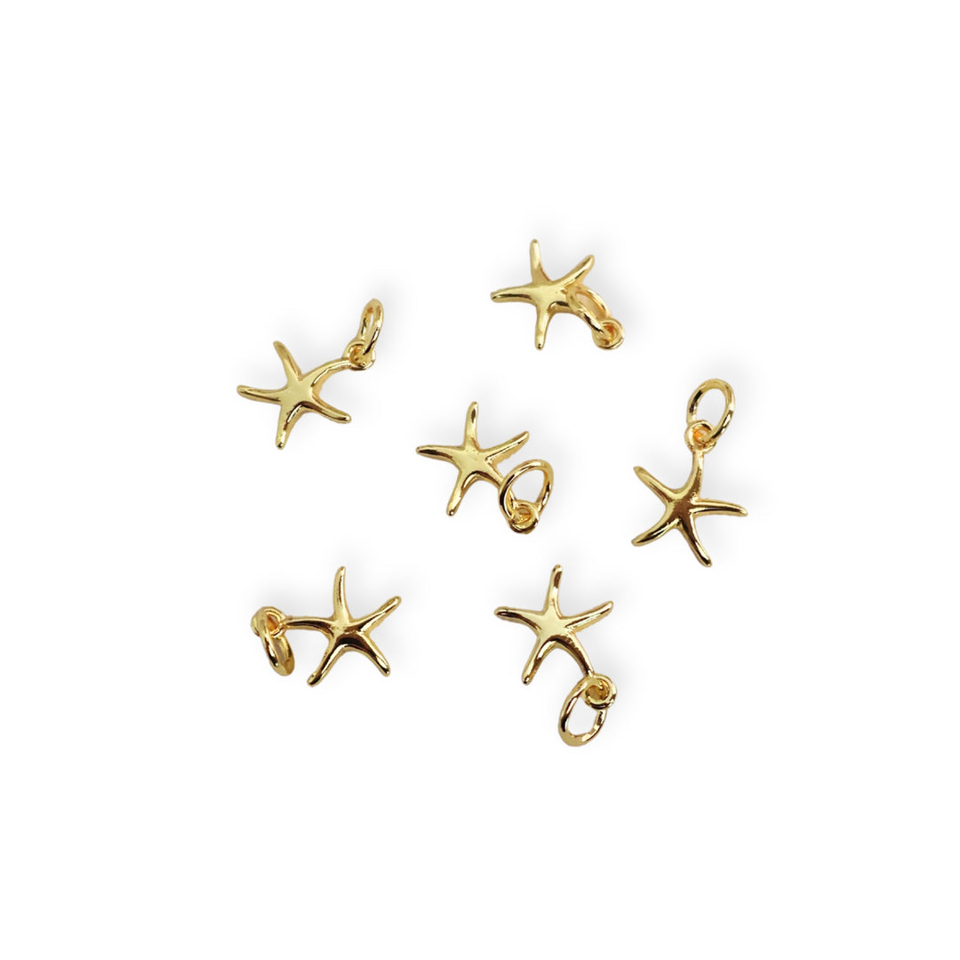 Detalles de dijes pequeño de estrella de mar en chapa de oro sobre fondo blanco