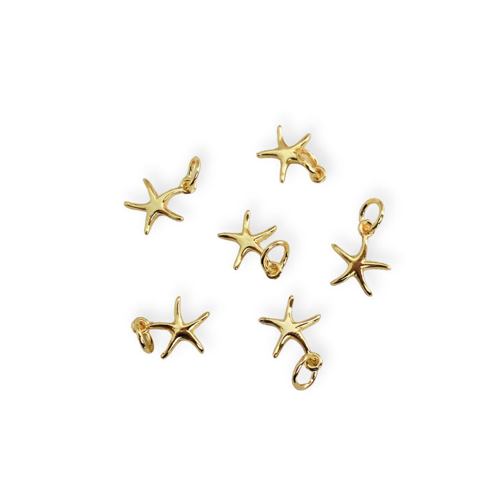 Detalles de dijes pequeño de estrella de mar en chapa de oro sobre fondo blanco