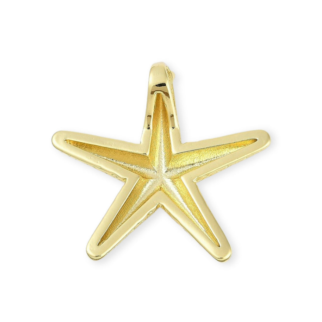 Detalles de Dije estrella de mar dorada en chapa de oro con ojal trasero