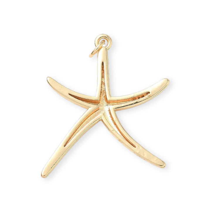 Detalles de Dije en forma de estrella de mar elaborado en chapa de oro sobre fondo blanco