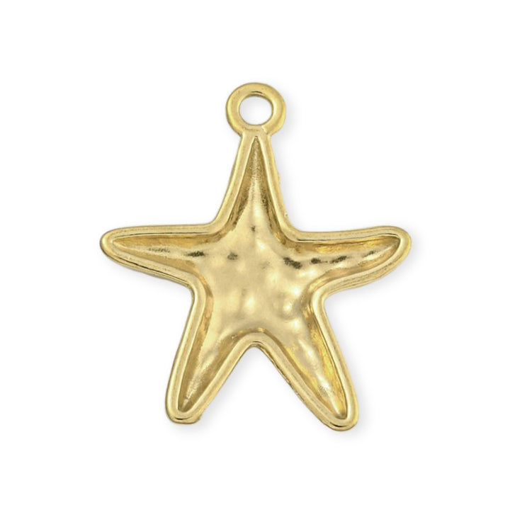 Detalles de Dije en forma de estrella de mar de acero inoxidable sobre fondo blanco