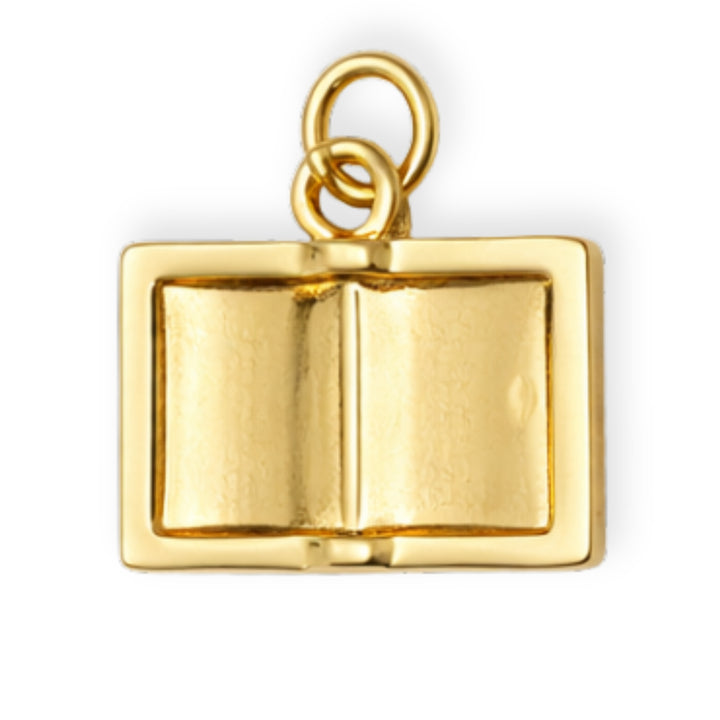 Detalles de Dije de Biblia de chapa de oro con grabado Palabra de Dios