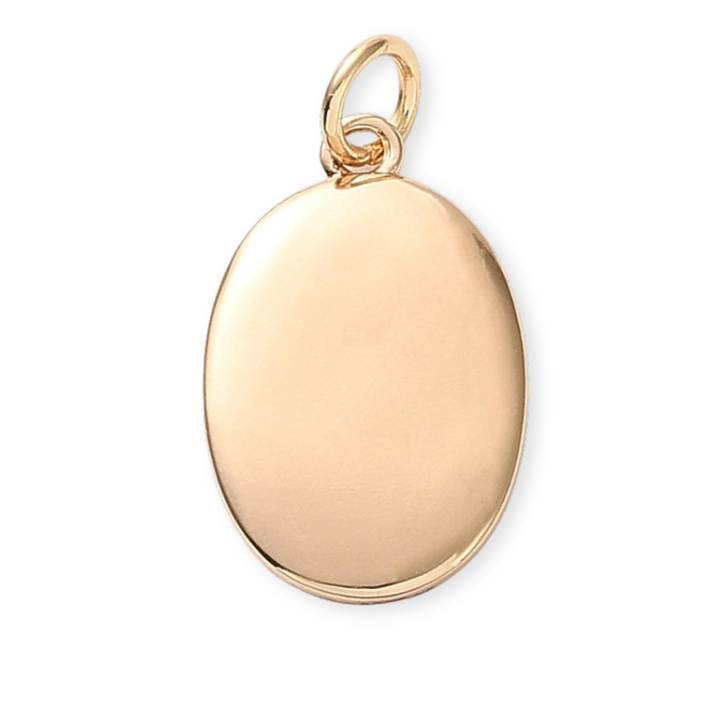 Detalles de Dije ovalado de langosta esmaltado de chapa de oro para joyería