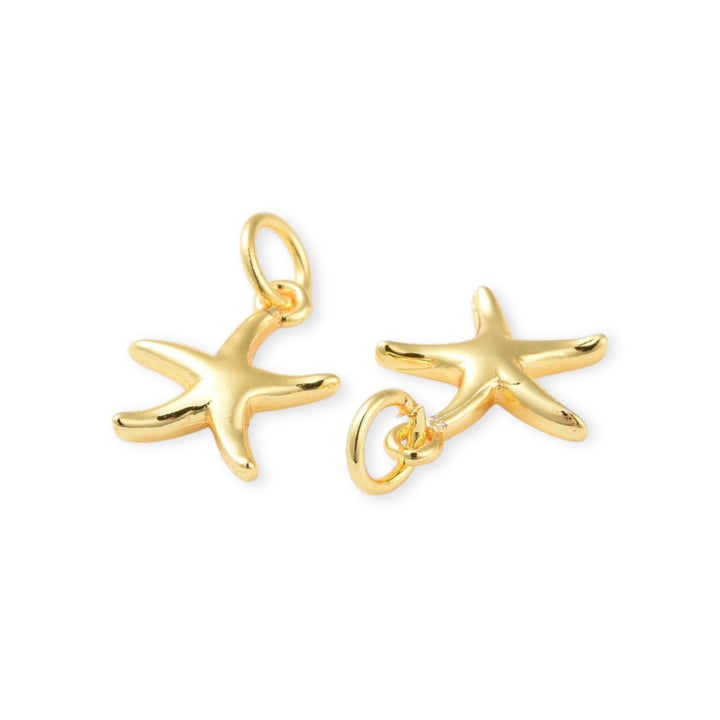 Dije de estrella de mar