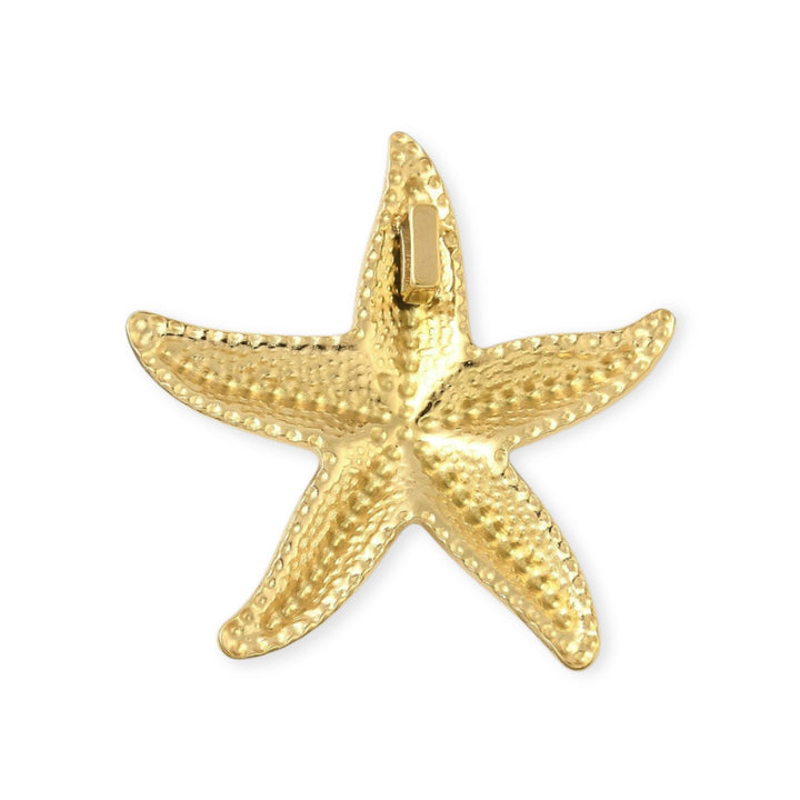 Detalles de Dije estrella de mar de acero inoxidable con acabado brillante y ojal trasero