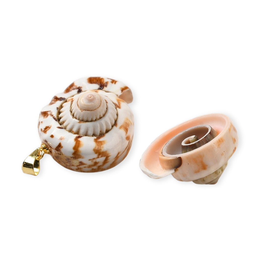 Detalles de Dije caracol de concha natural con portadije de chapa de oro