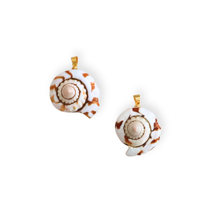 Detalles de dije caracol de concha natural con portadije de chapa de oro