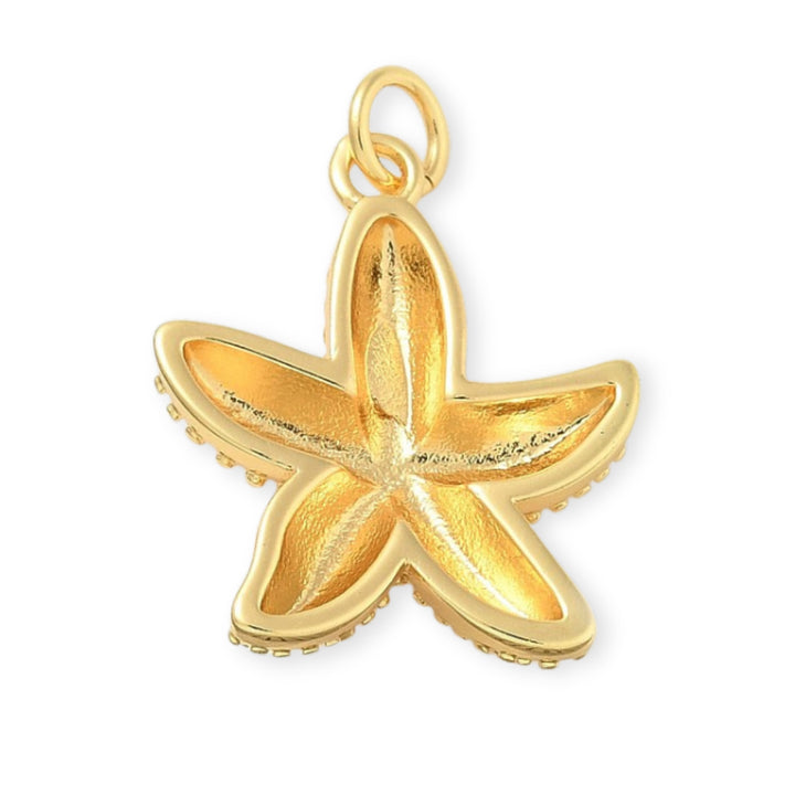 Detalles de Dije de estrella de mar en chapa de oro con textura de puntos sobre fondo blanco