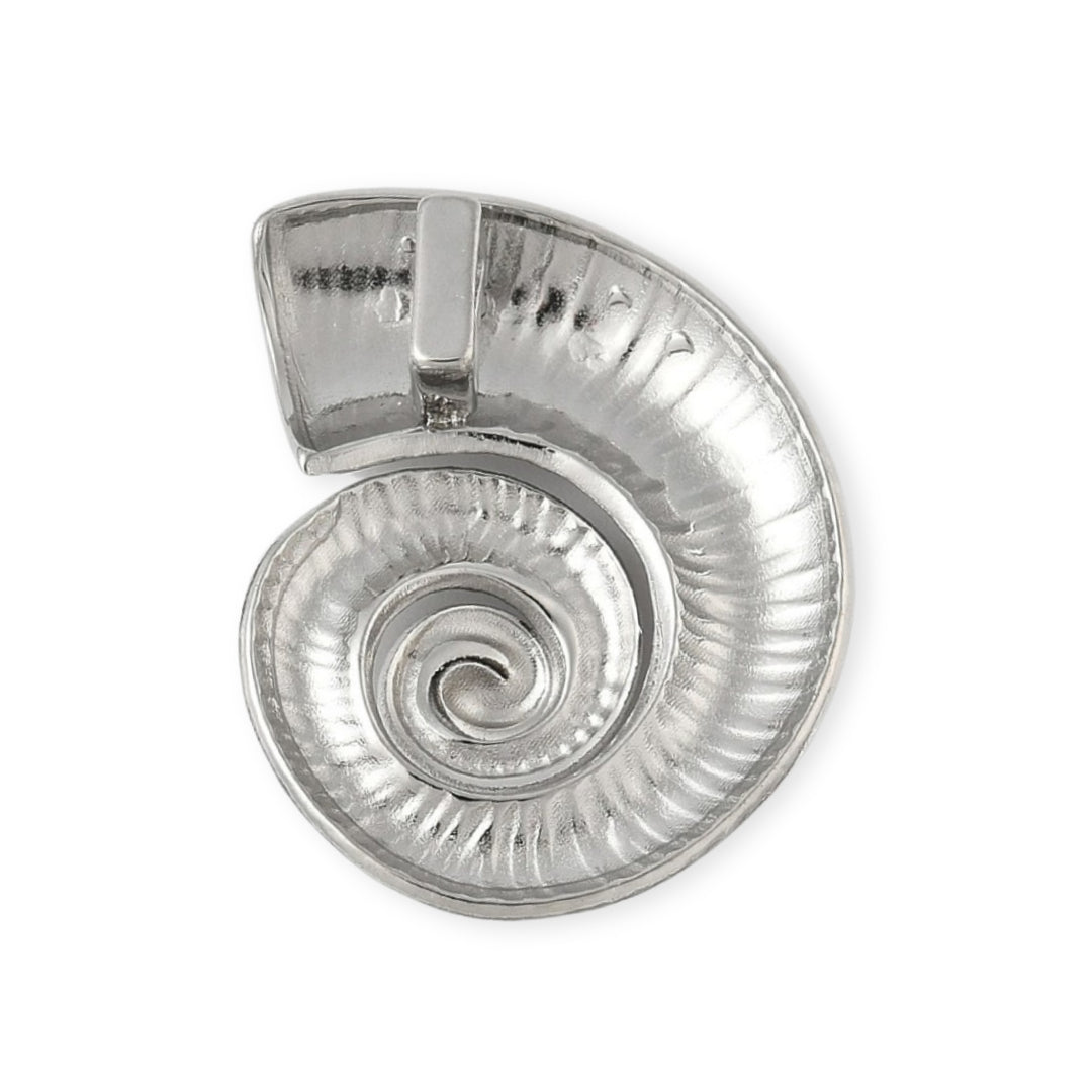 Detalles de Dije de caracol de acero inoxidable plateado