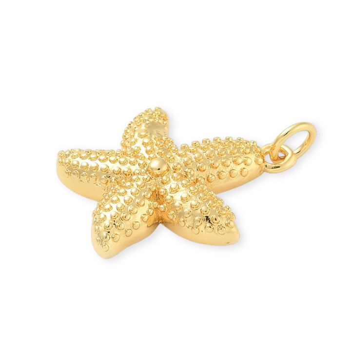 Detalles de Dije de estrella de mar en chapa de oro con textura de puntos sobre fondo blanco
