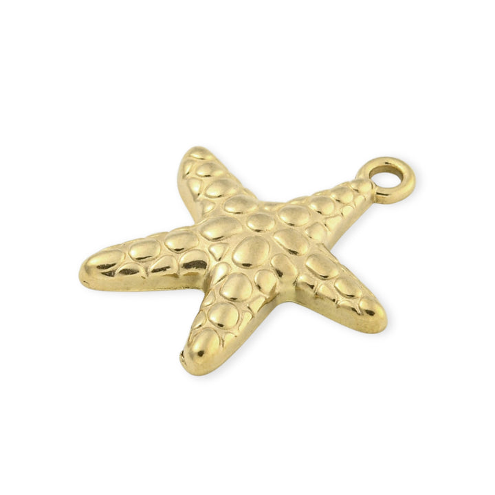 Detalles de Dije en forma de estrella de mar de acero inoxidable sobre fondo blanco