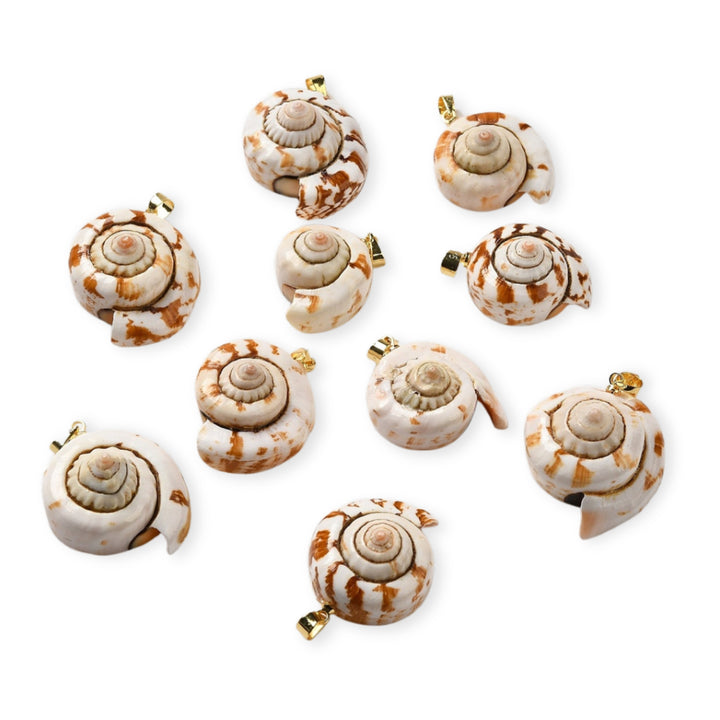 Detalles de Dije caracol de concha natural con portadije de chapa de oro