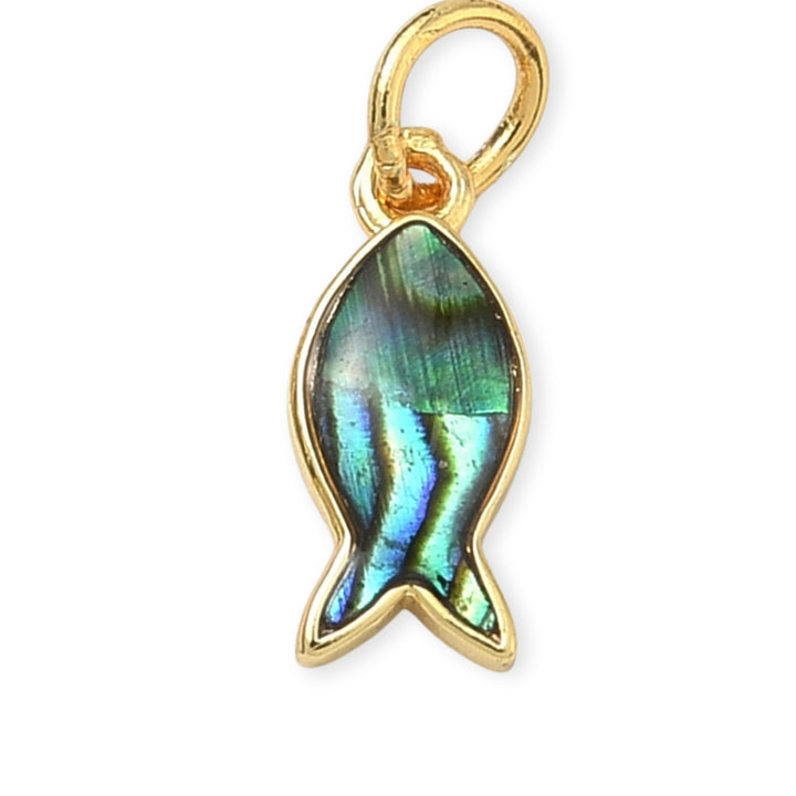 #material_concha-paua