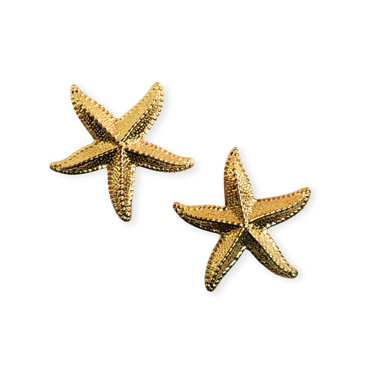 Detalles de dijes estrella de mar de acero inoxidable con acabado brillante y ojal trasero