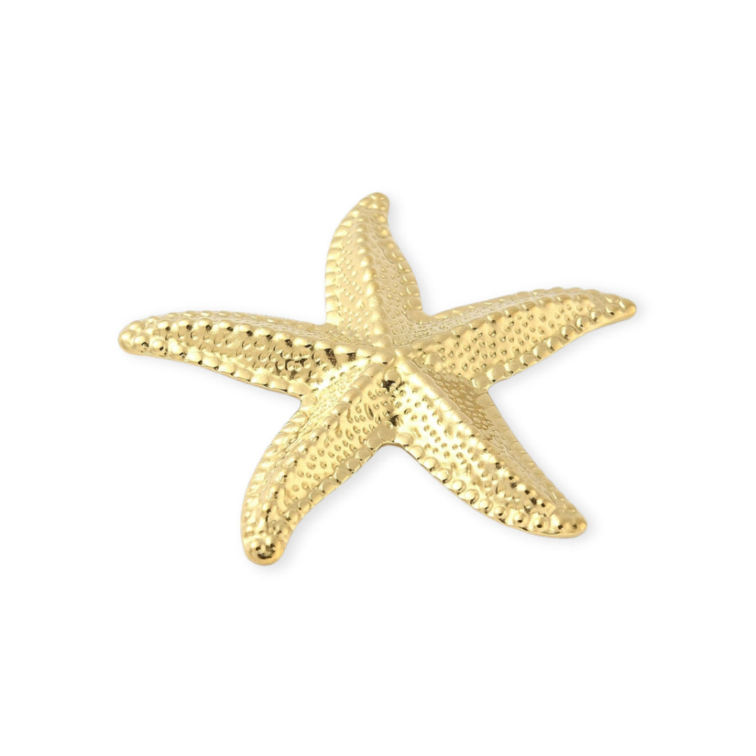 Detalles de Dije estrella de mar de acero inoxidable con acabado brillante y ojal trasero