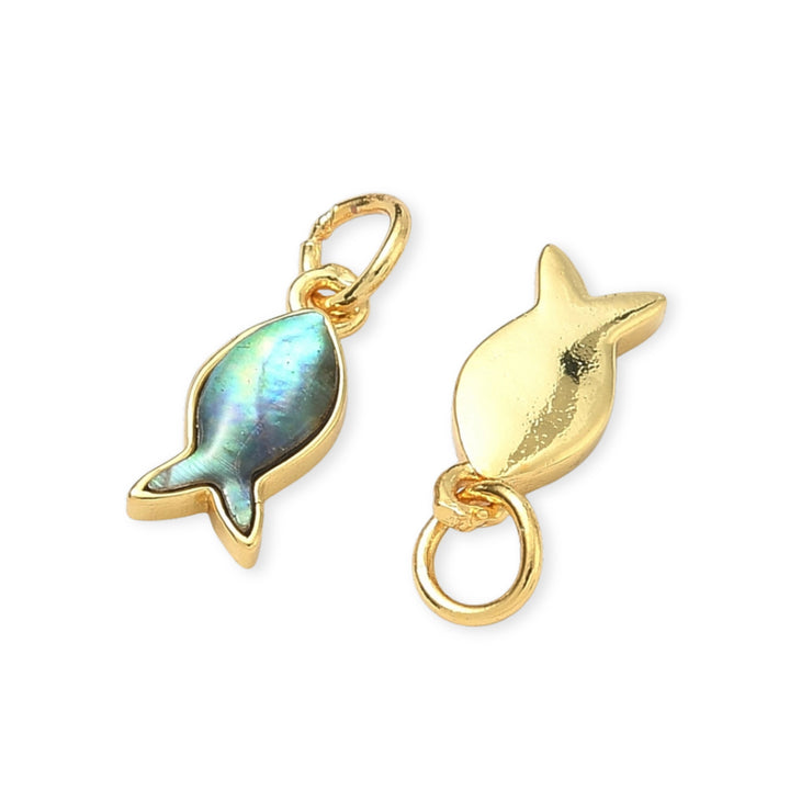 #material_concha-paua